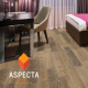 Aspecta One Ornamental